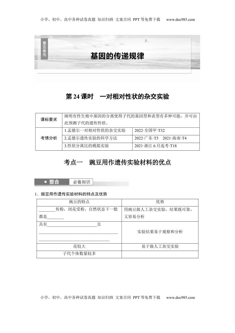 高考生物复习  第五单元　第24课时　一对相对性状的杂交实验.docx