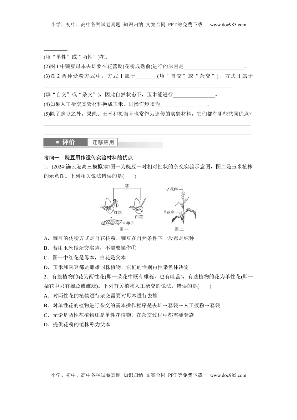 高考生物复习  第五单元　第24课时　一对相对性状的杂交实验.docx