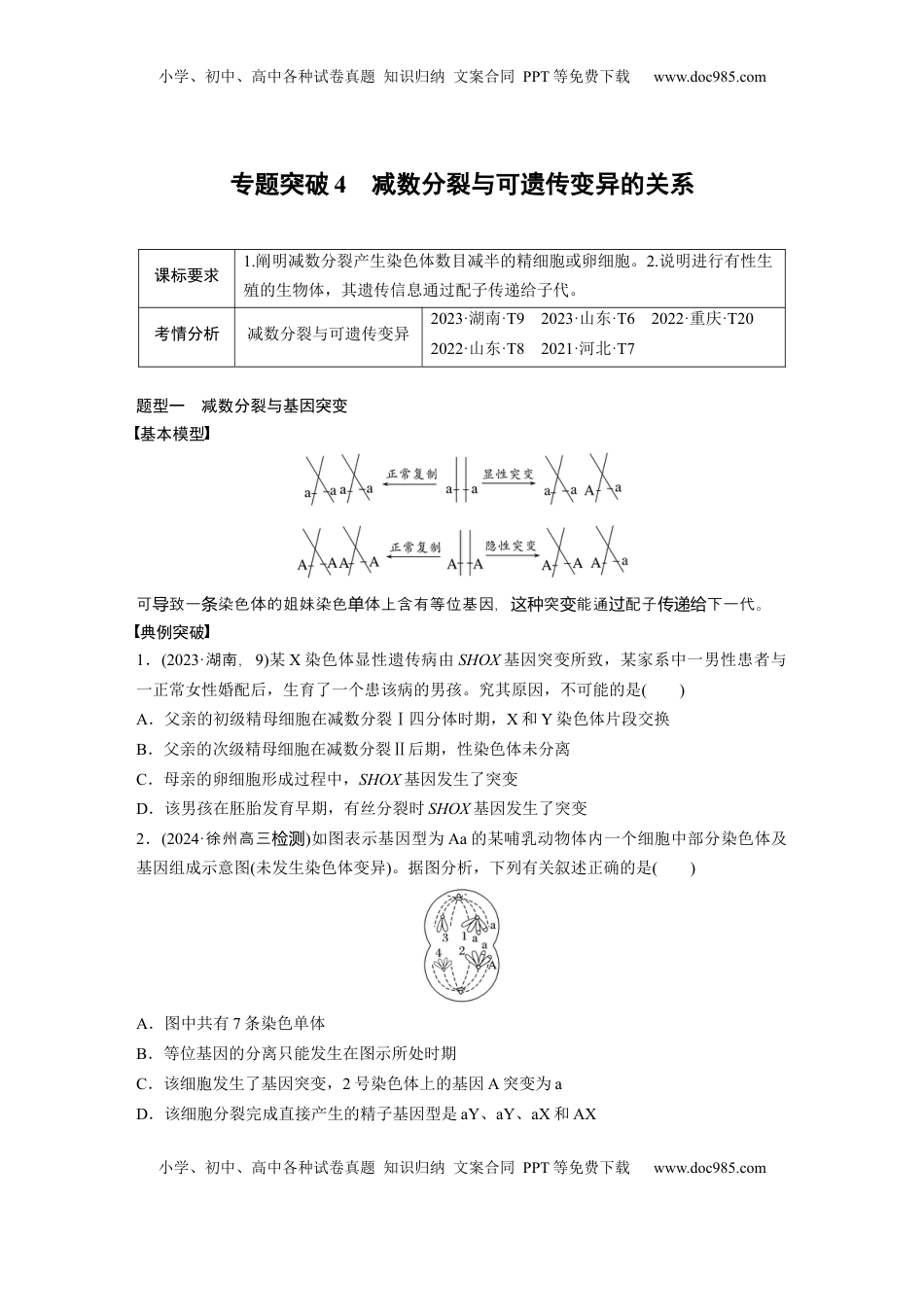 高考生物复习  第四单元　专题突破4　减数分裂与可遗传变异的关系.docx