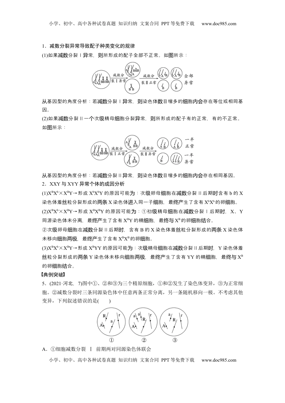 高考生物复习  第四单元　专题突破4　减数分裂与可遗传变异的关系.docx
