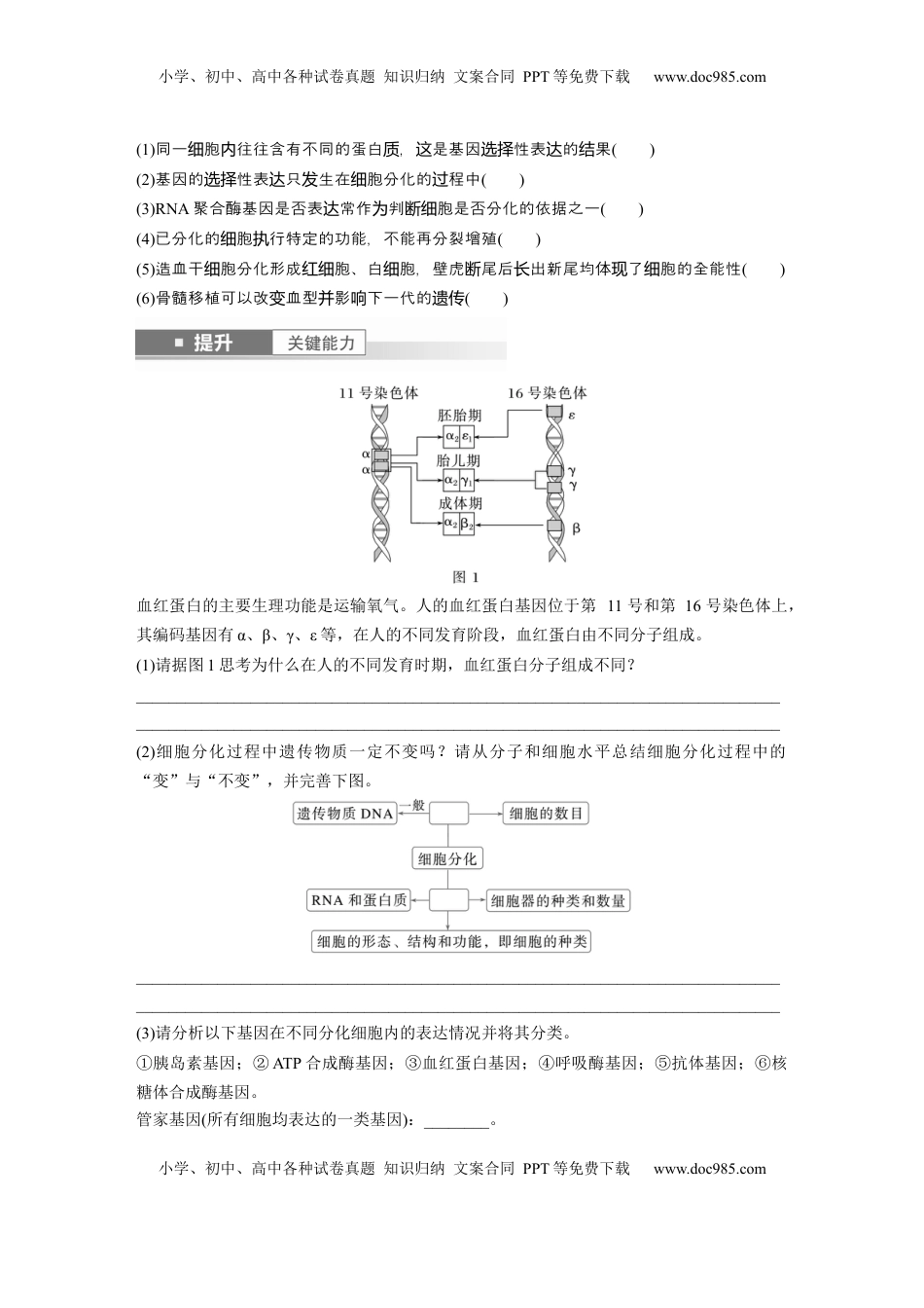 高考生物复习  第四单元　第23课时　细胞的分化、衰老和死亡.docx