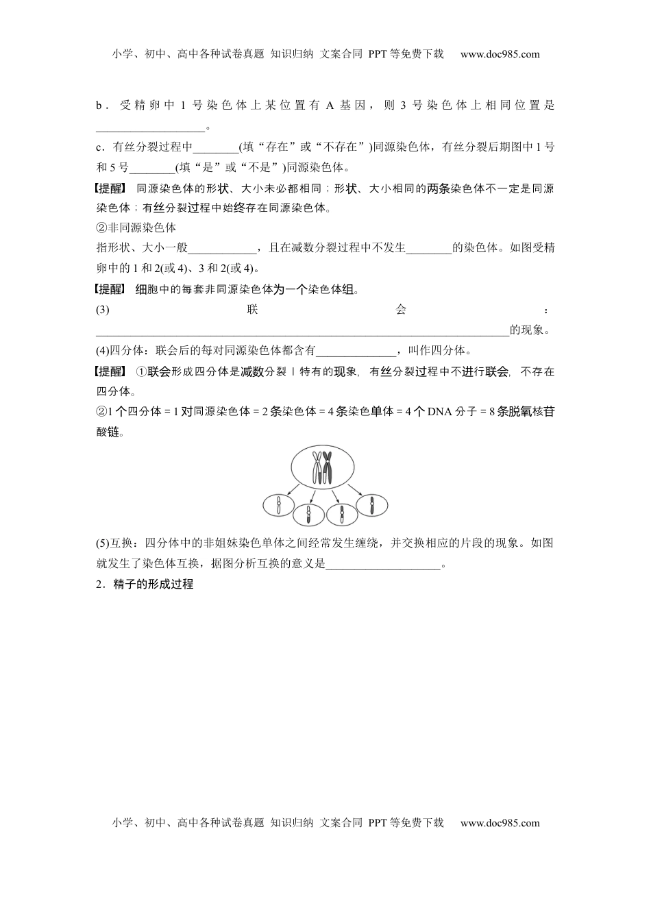 高考生物复习  第四单元　第21课时　减数分裂和受精作用.docx