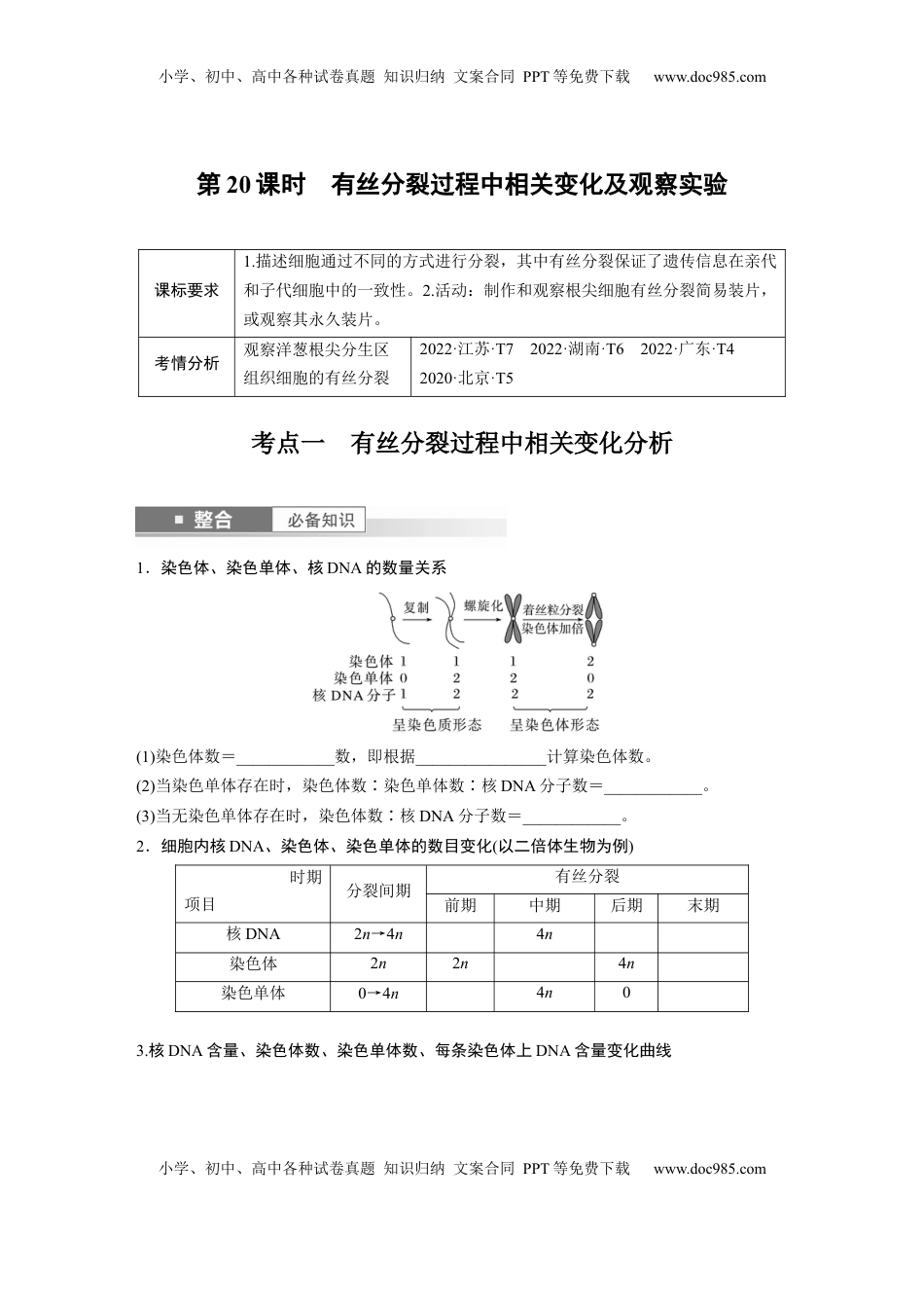 高考生物复习  第四单元　第20课时　有丝分裂过程中相关变化及观察实验.docx