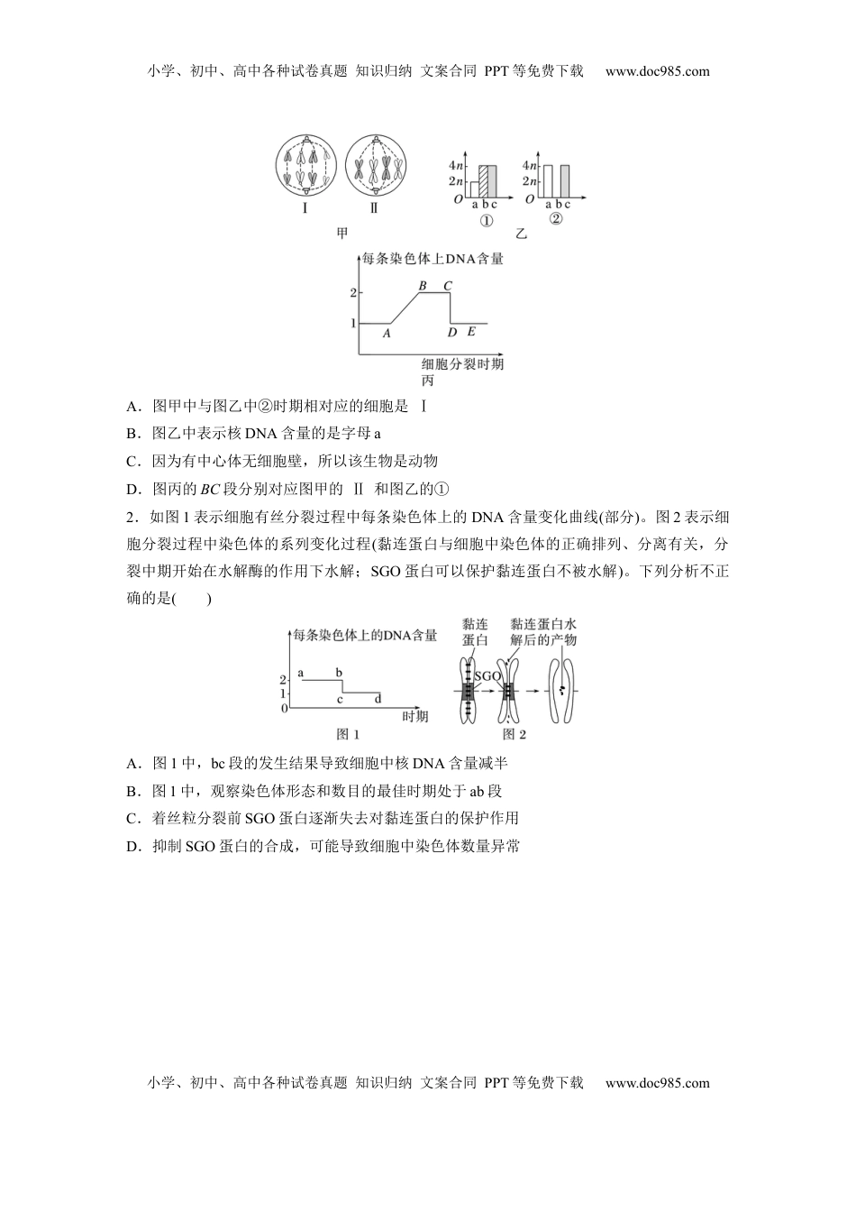 高考生物复习  第四单元　第20课时　有丝分裂过程中相关变化及观察实验.docx