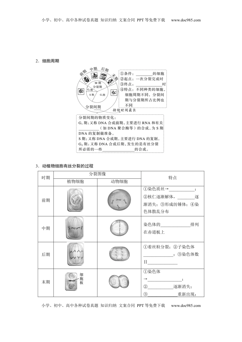 高考生物复习  第四单元　第19课时　细胞的增殖.docx