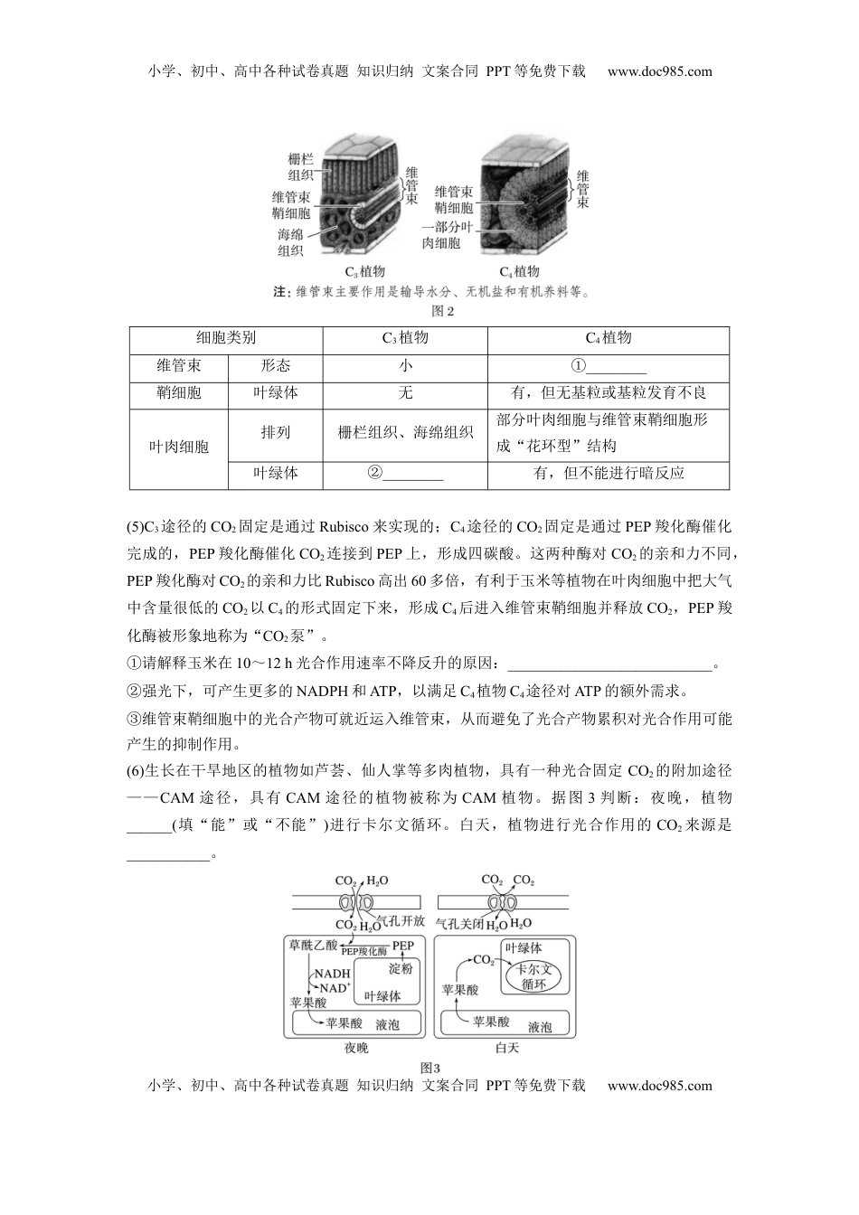 高考生物复习  第三单元　专题突破2　不同生物固定二氧化碳的方式比较.docx