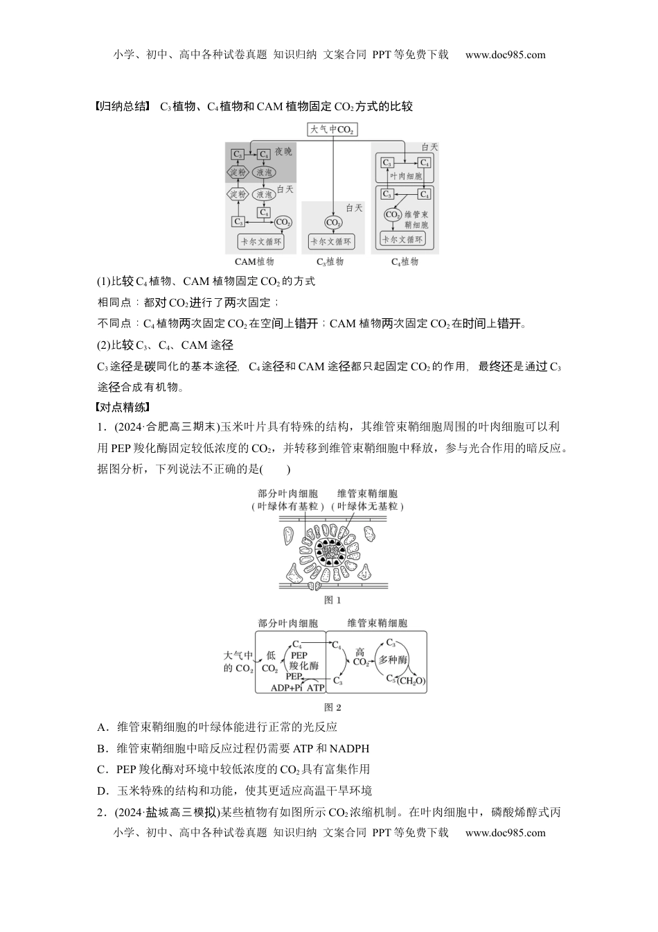 高考生物复习  第三单元　专题突破2　不同生物固定二氧化碳的方式比较.docx