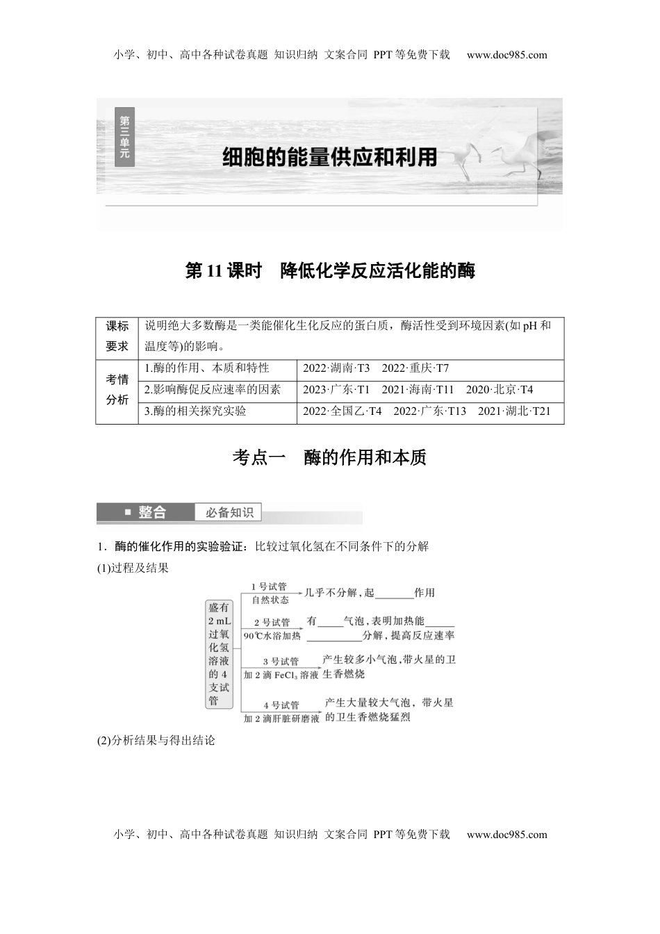 高考生物复习  第三单元　第11课时　降低化学反应活化能的酶.docx