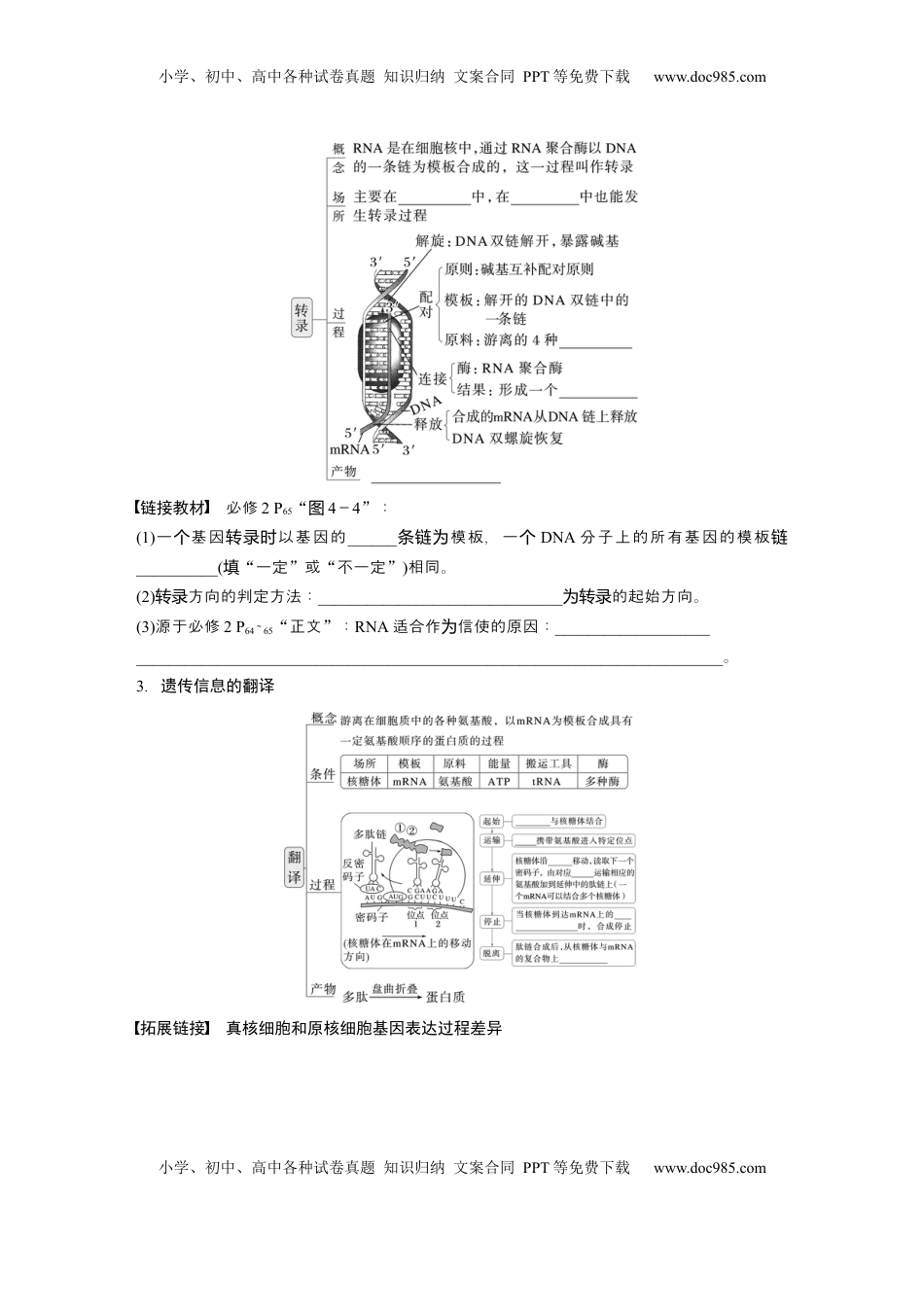 高考生物复习  第六单元　第31课时　基因的表达.docx
