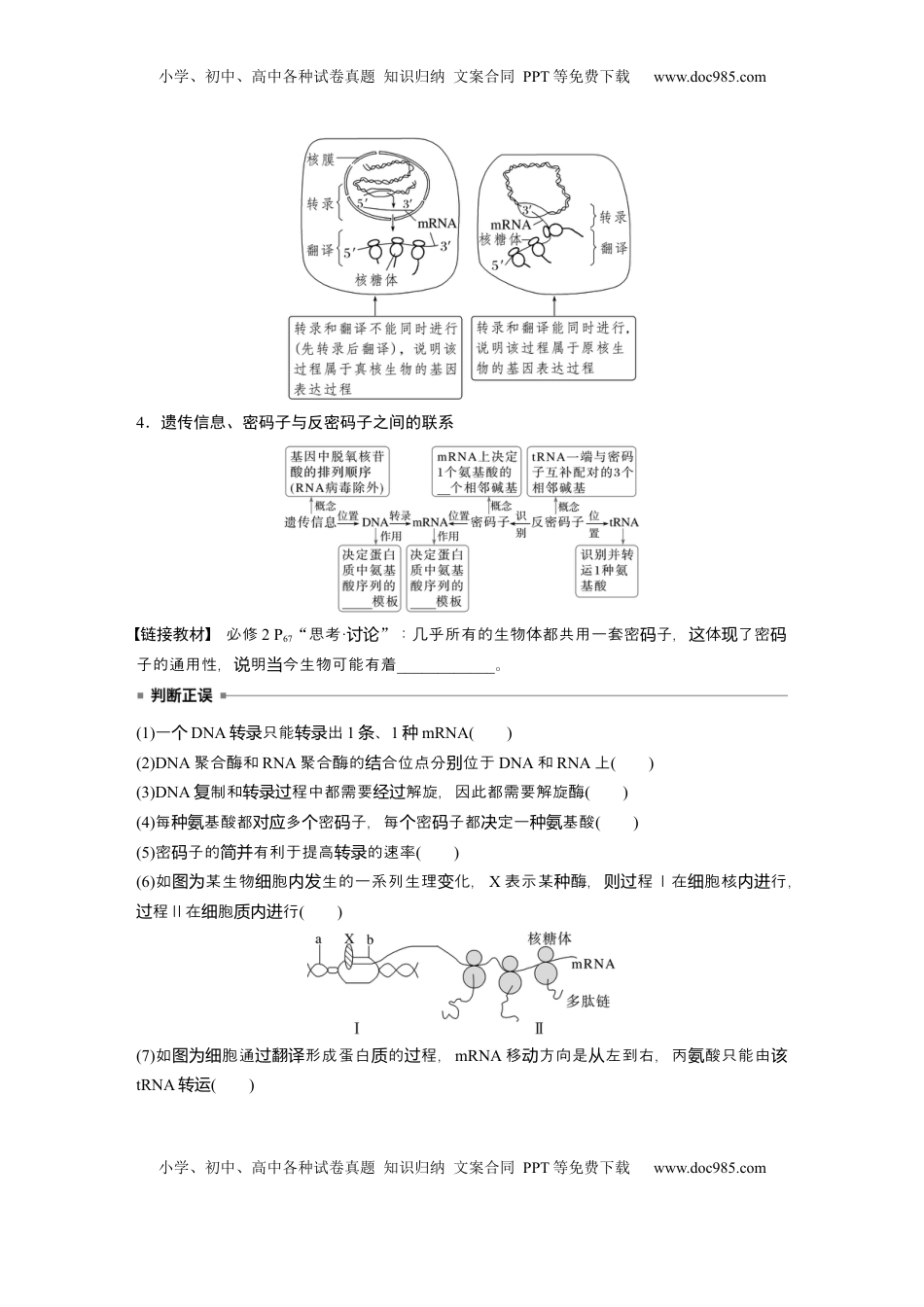 高考生物复习  第六单元　第31课时　基因的表达.docx