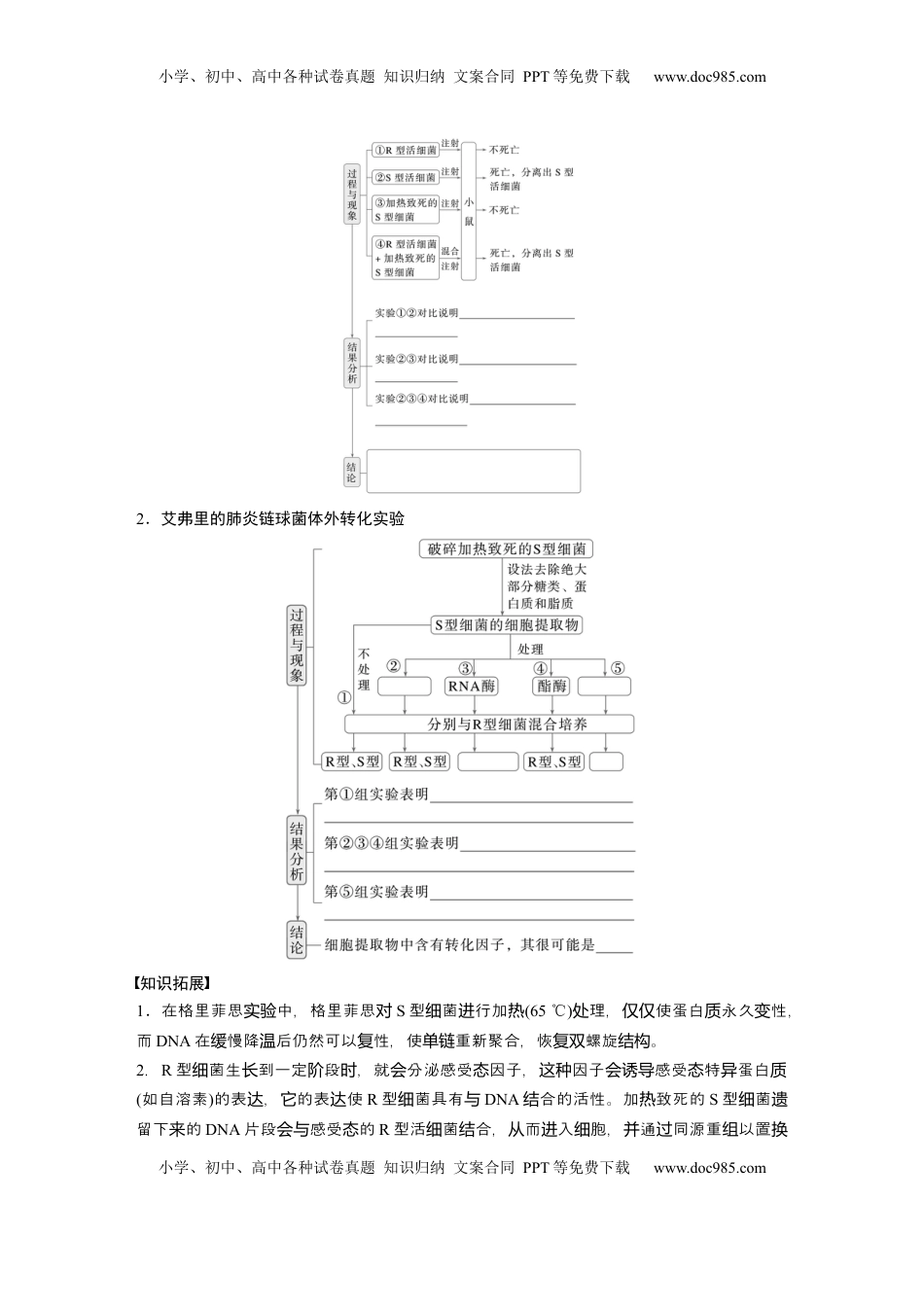 高考生物复习  第六单元　第29课时　DNA是主要的遗传物质.docx