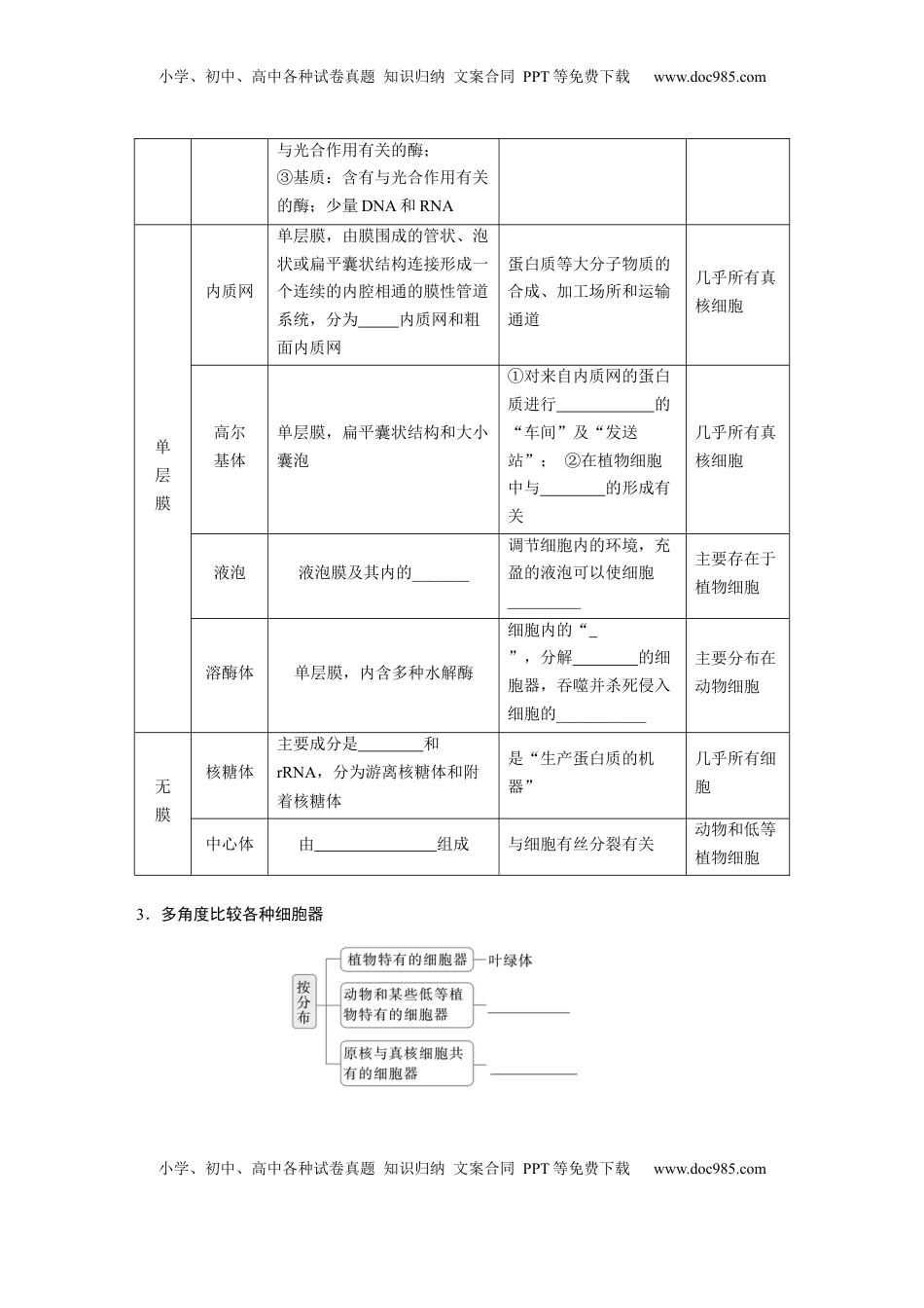 高考生物复习  第二单元　第7课时　细胞器之间的分工.docx