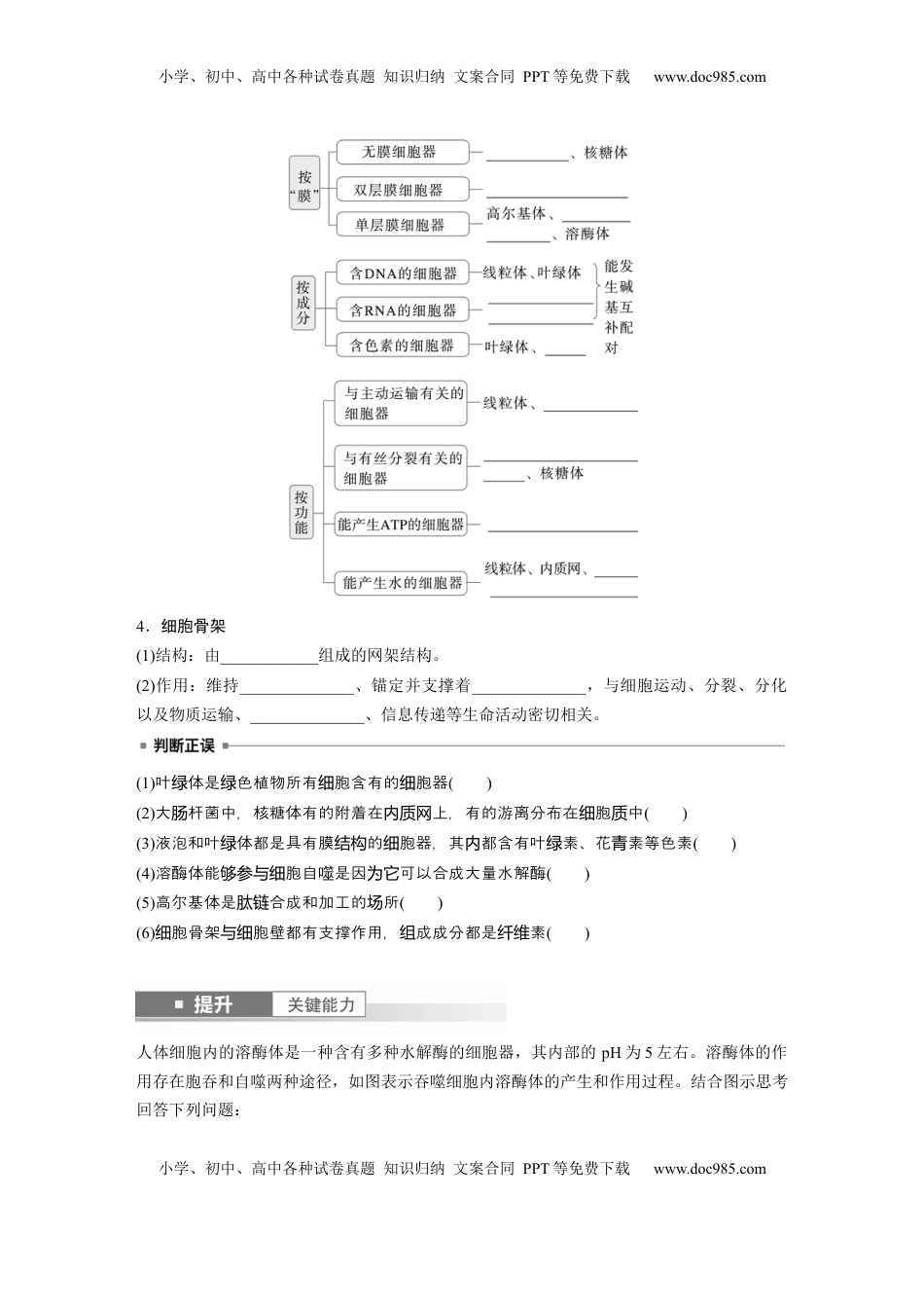 高考生物复习  第二单元　第7课时　细胞器之间的分工.docx