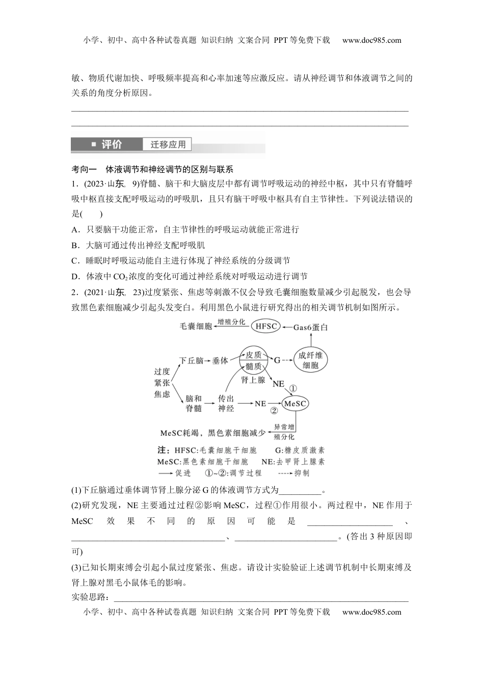 高考生物复习  第八单元　第41课时　体液调节与神经调节的关系.docx