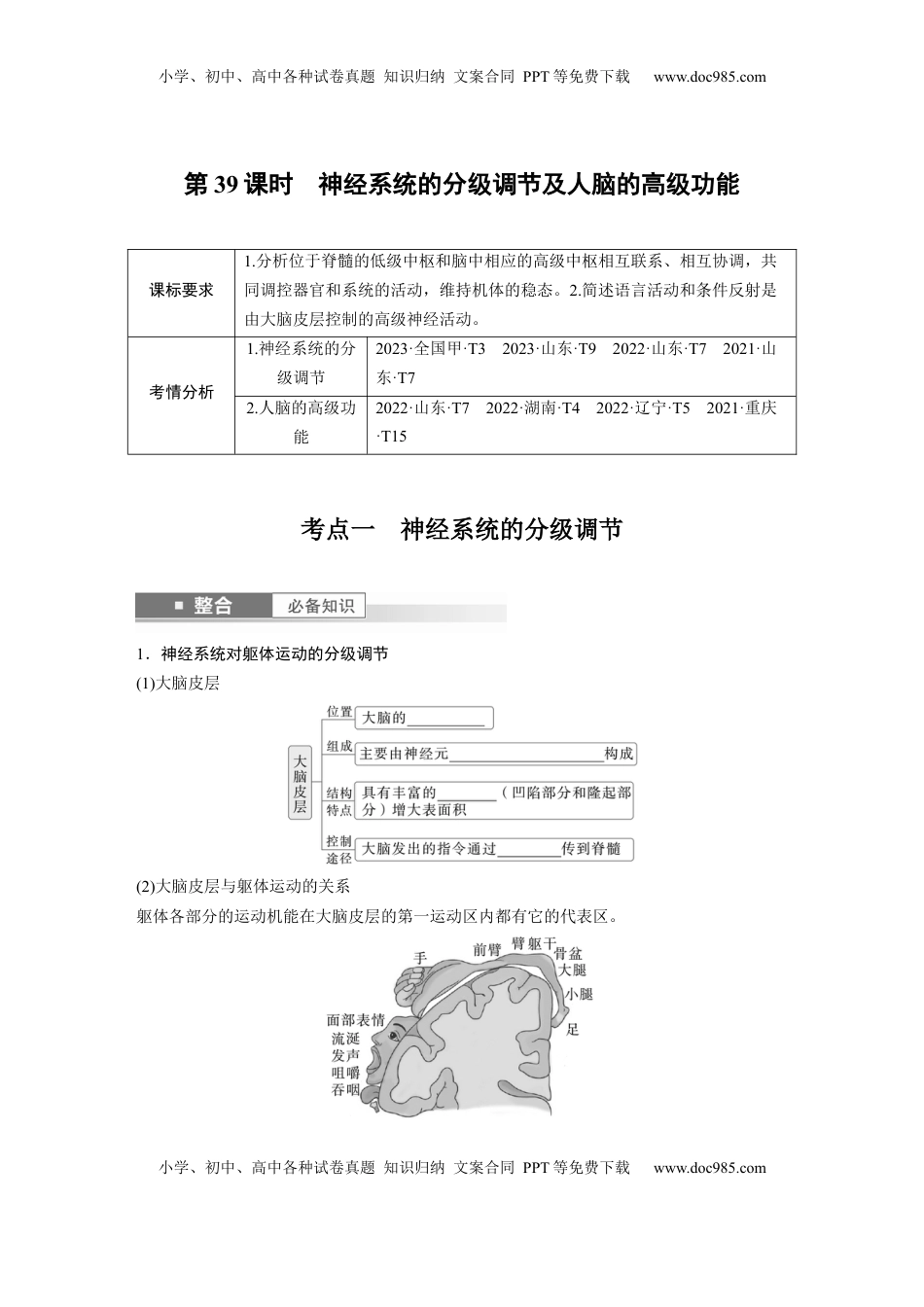 高考生物复习  第八单元　第39课时　神经系统的分级调节及人脑的高级功能.docx