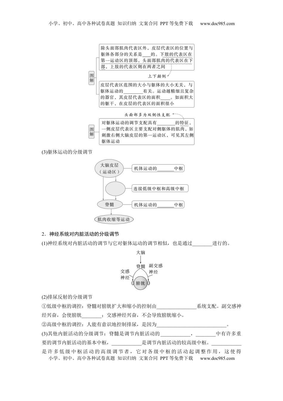 高考生物复习  第八单元　第39课时　神经系统的分级调节及人脑的高级功能.docx