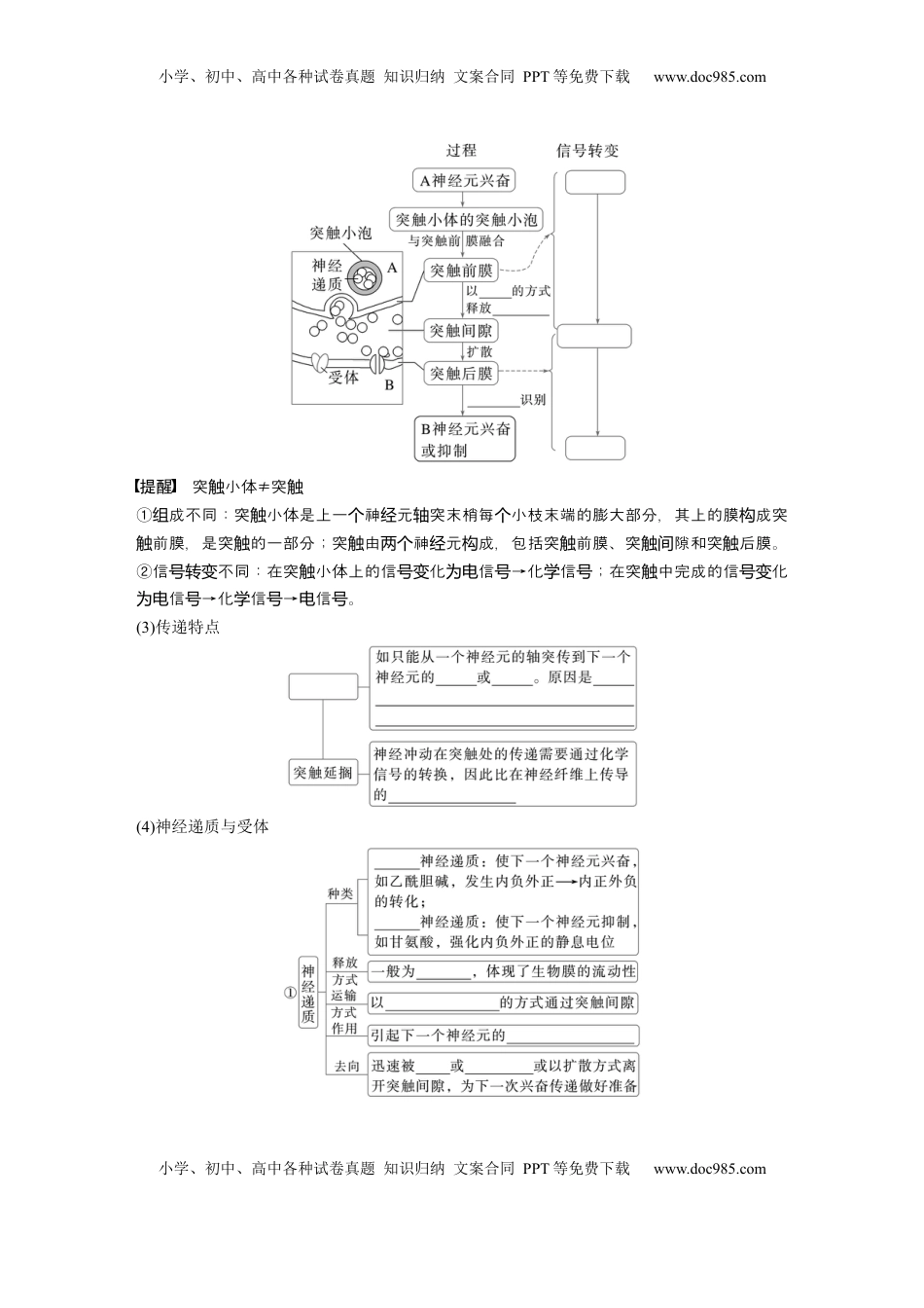 高考生物复习  第八单元　第38课时　神经冲动的产生和传导.docx
