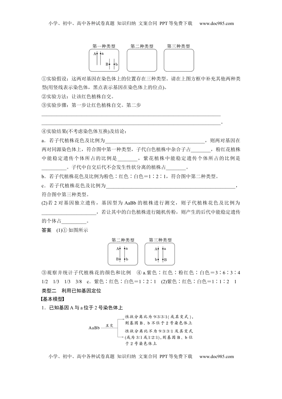 高考生物复习  第五单元　专题突破7　探究不同对基因在常染色体上的位置 (1).docx