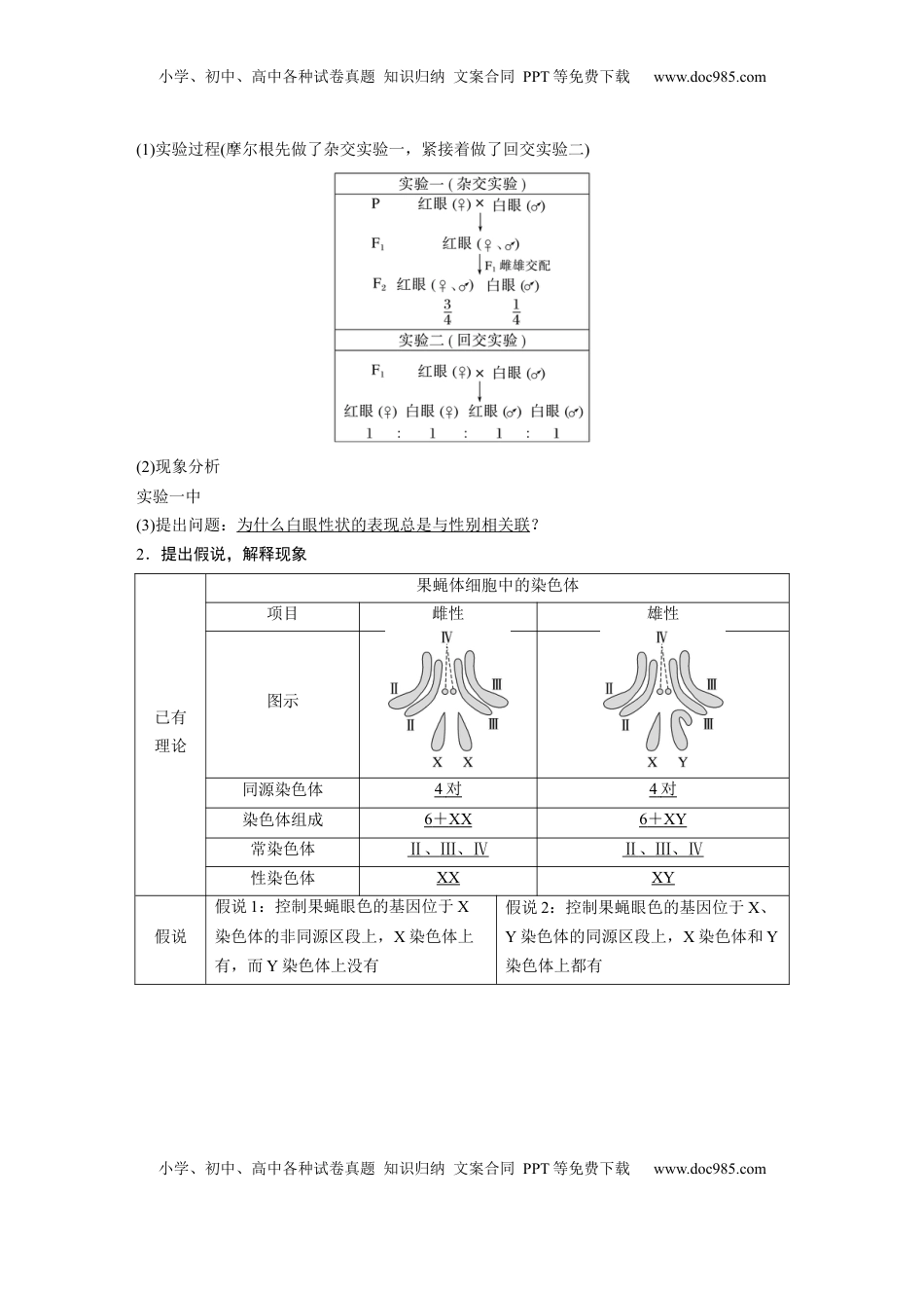 高考生物复习  第五单元　第27课时　基因在染色体上 (1).docx