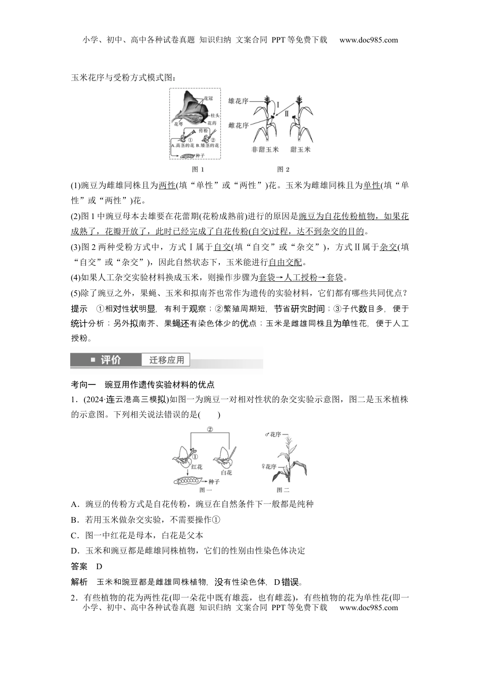 高考生物复习  第五单元　第24课时　一对相对性状的杂交实验 (1).docx