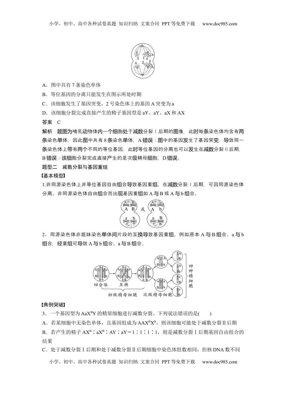 高考生物复习  第四单元　专题突破4　减数分裂与可遗传变异的关系 (1).docx