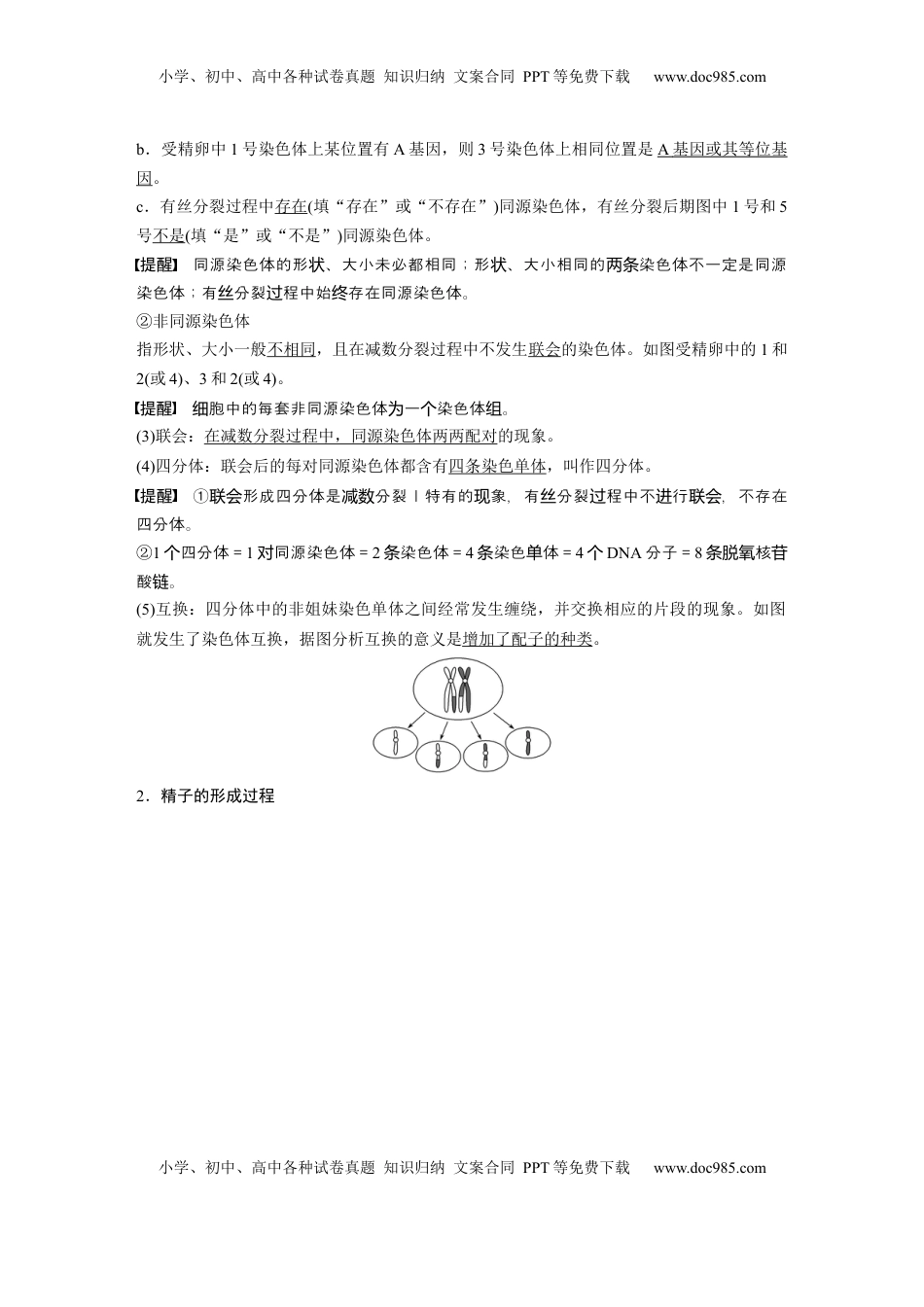 高考生物复习  第四单元　第21课时　减数分裂和受精作用 (1).docx