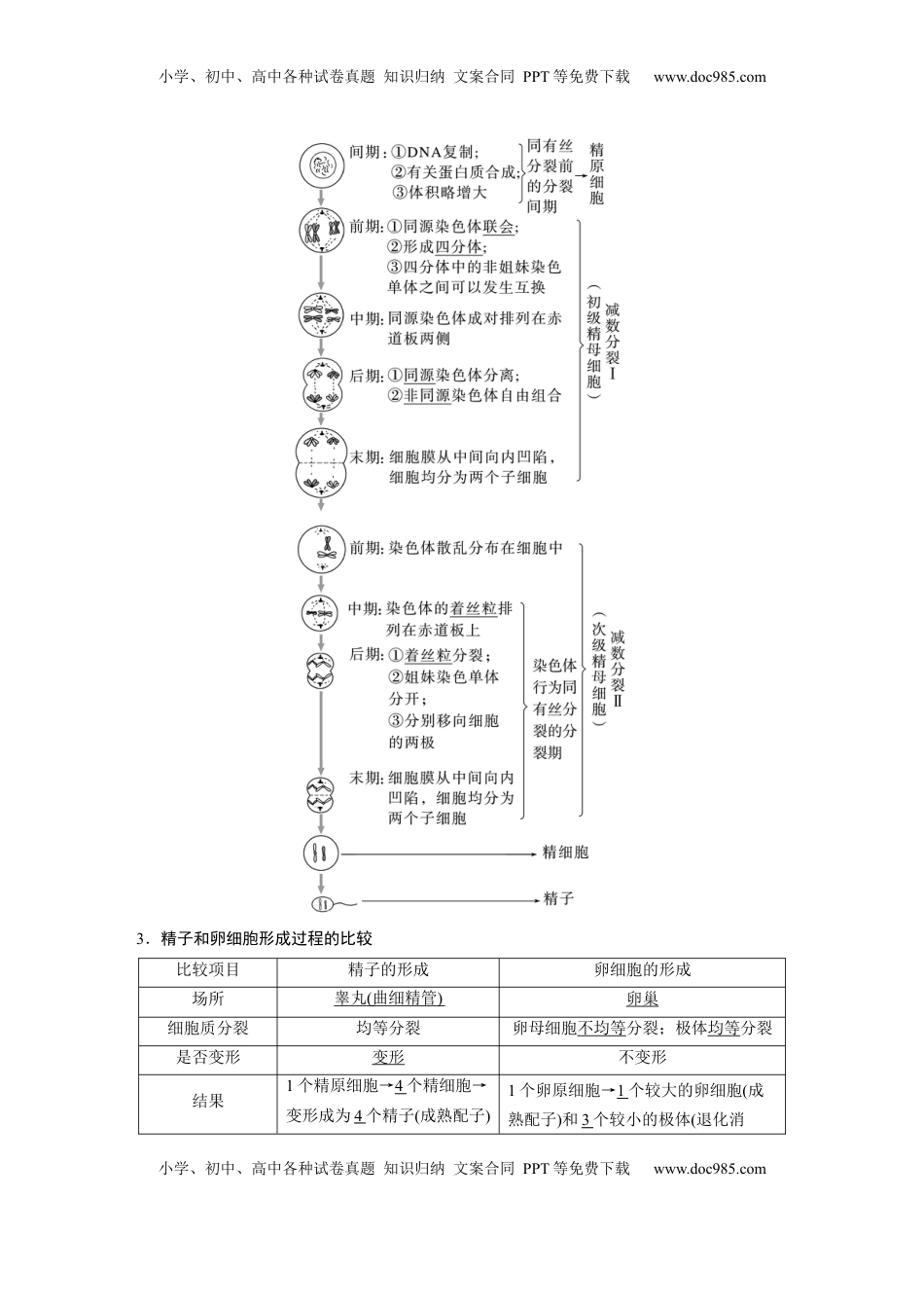 高考生物复习  第四单元　第21课时　减数分裂和受精作用 (1).docx