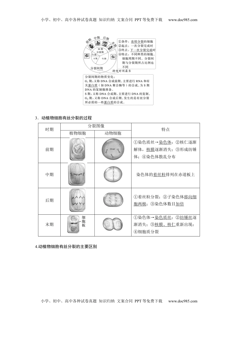 高考生物复习  第四单元　第19课时　细胞的增殖 (1).docx