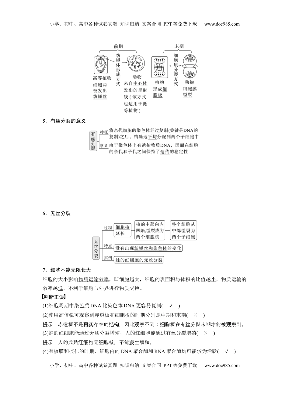 高考生物复习  第四单元　第19课时　细胞的增殖 (1).docx