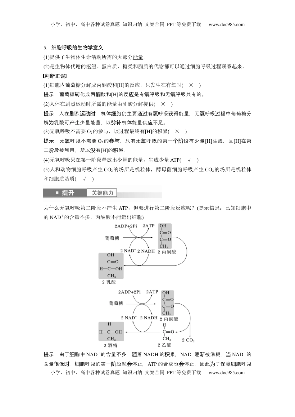 高考生物复习  第三单元　第14课时　无氧呼吸、细胞呼吸的影响因素及其应用 (1).docx
