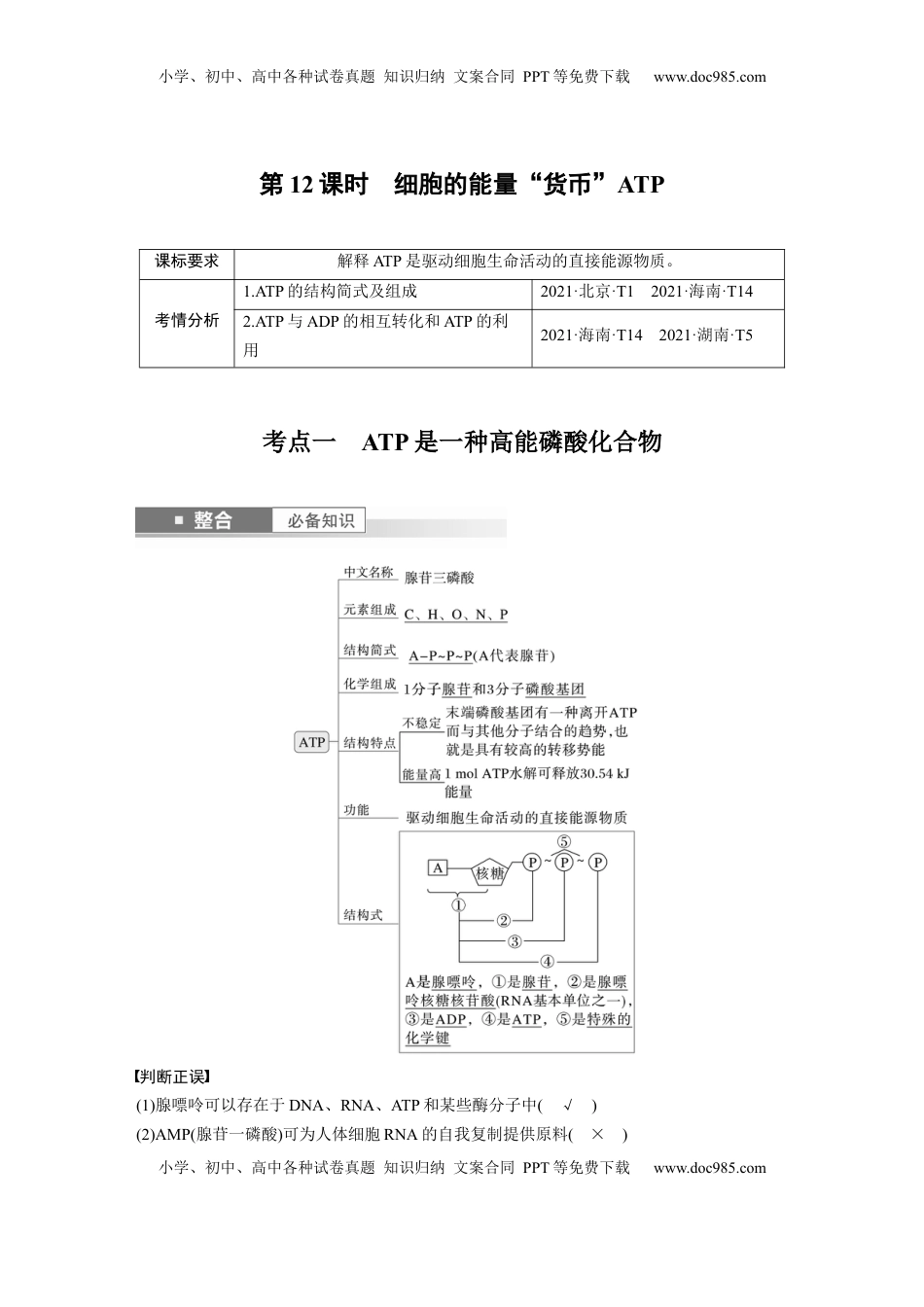 高考生物复习  第三单元　第12课时　细胞的能量“货币”ATP (1).docx