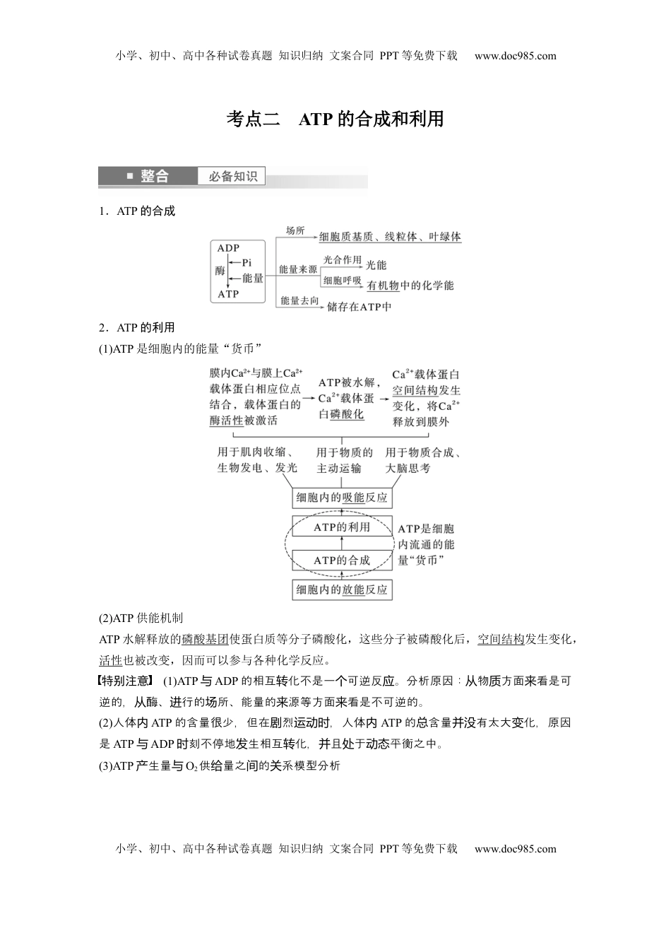 高考生物复习  第三单元　第12课时　细胞的能量“货币”ATP (1).docx
