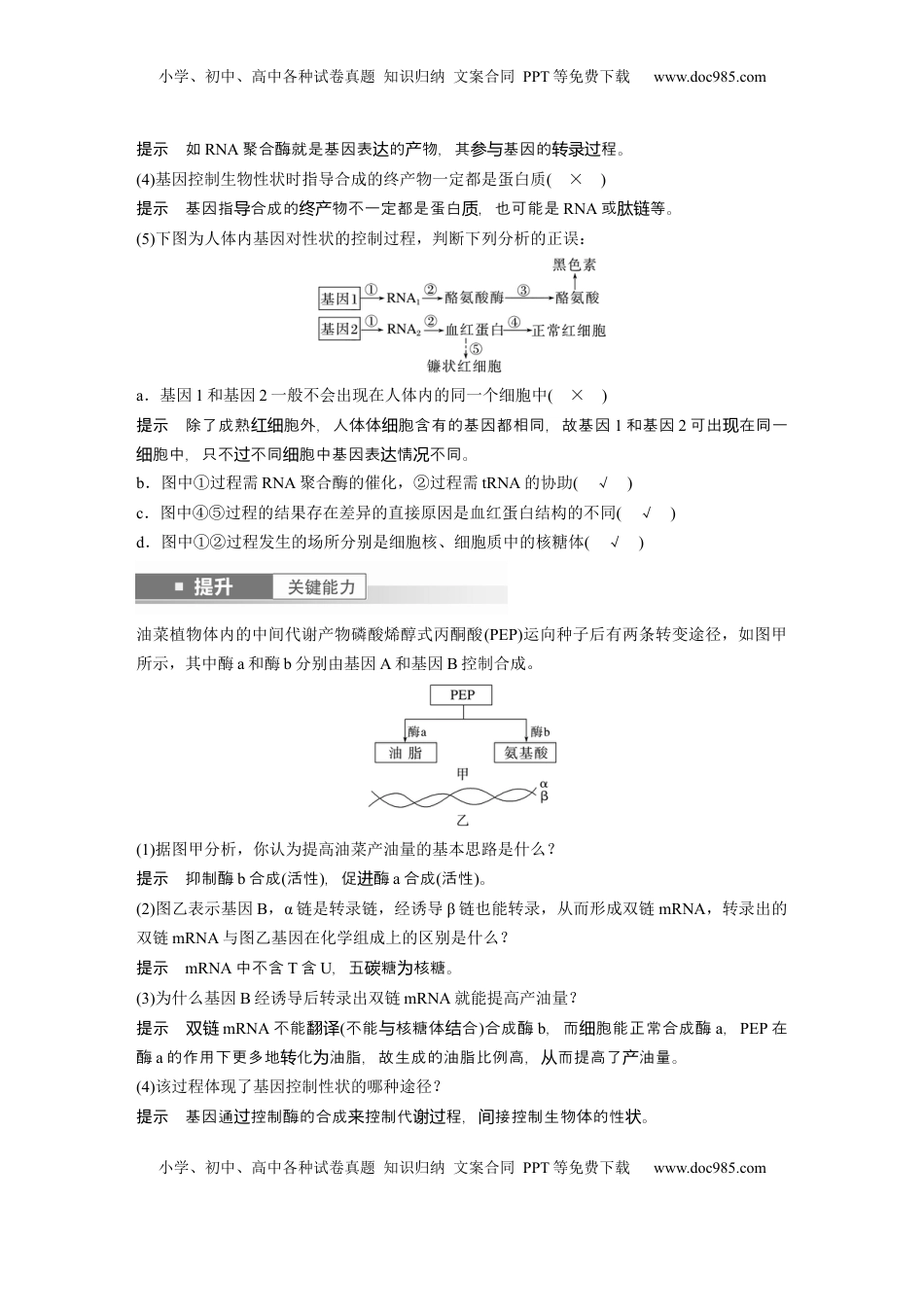 高考生物复习  第六单元　第32课时　基因表达与性状的关系 (1).docx