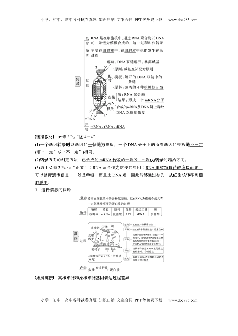 高考生物复习  第六单元　第31课时　基因的表达 (1).docx