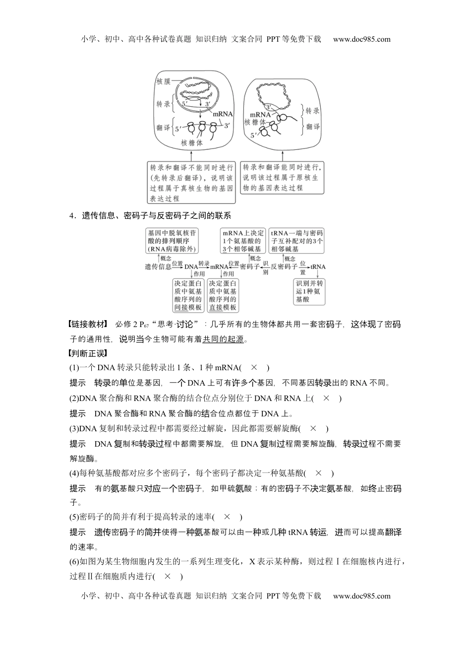 高考生物复习  第六单元　第31课时　基因的表达 (1).docx