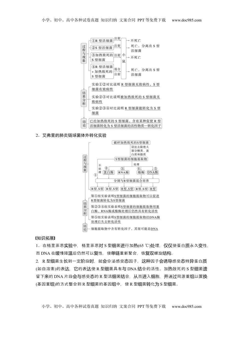 高考生物复习  第六单元　第29课时　DNA是主要的遗传物质 (1).docx