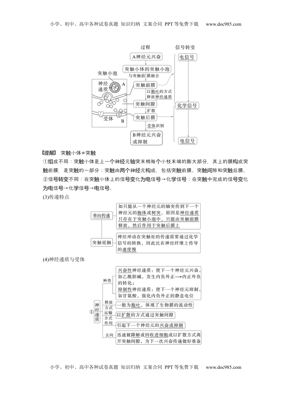 高考生物复习  第八单元　第38课时　神经冲动的产生和传导 (1).docx