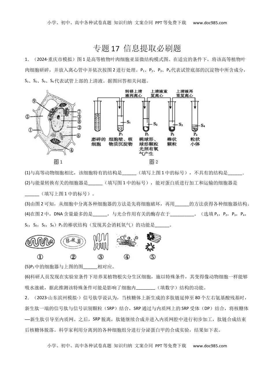 高考生物复习  专题17   信息提取必刷题（原卷版）.docx