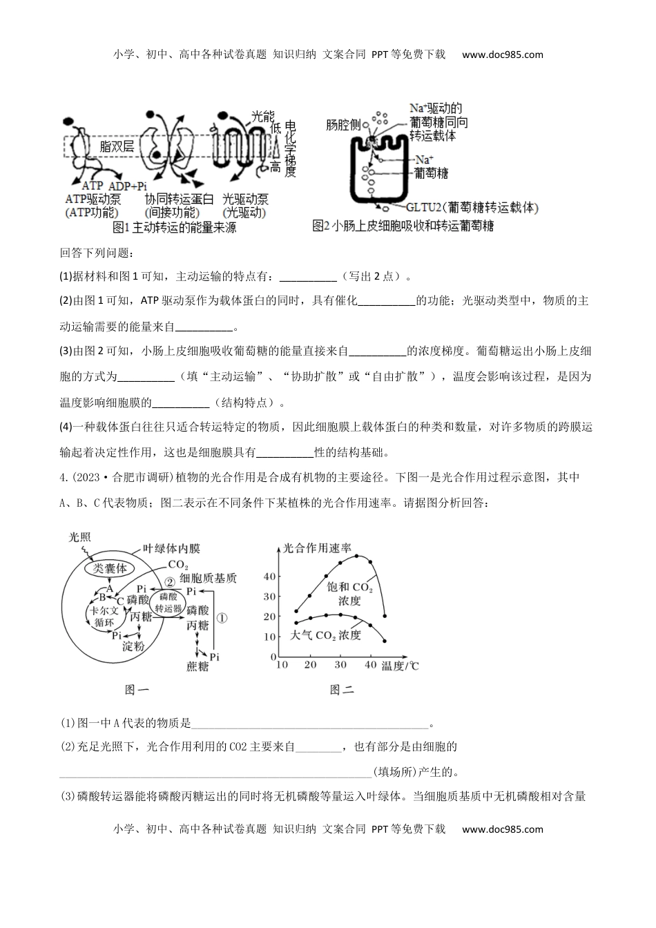 高考生物复习  专题17   信息提取必刷题（原卷版）.docx
