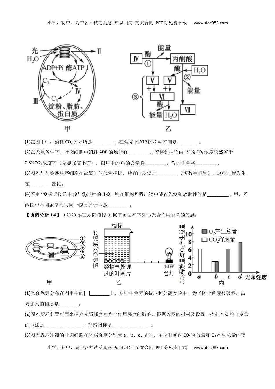 高考生物复习  专题15   非选择题必刷（6大题型）  （原卷版）.docx