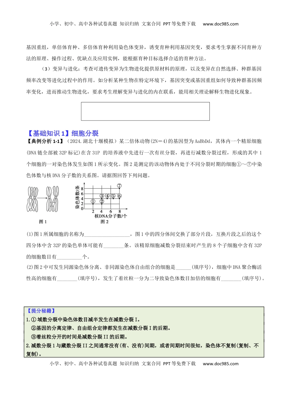高考生物复习  专题07  遗传规律与变异的综合运用（原卷版）.docx