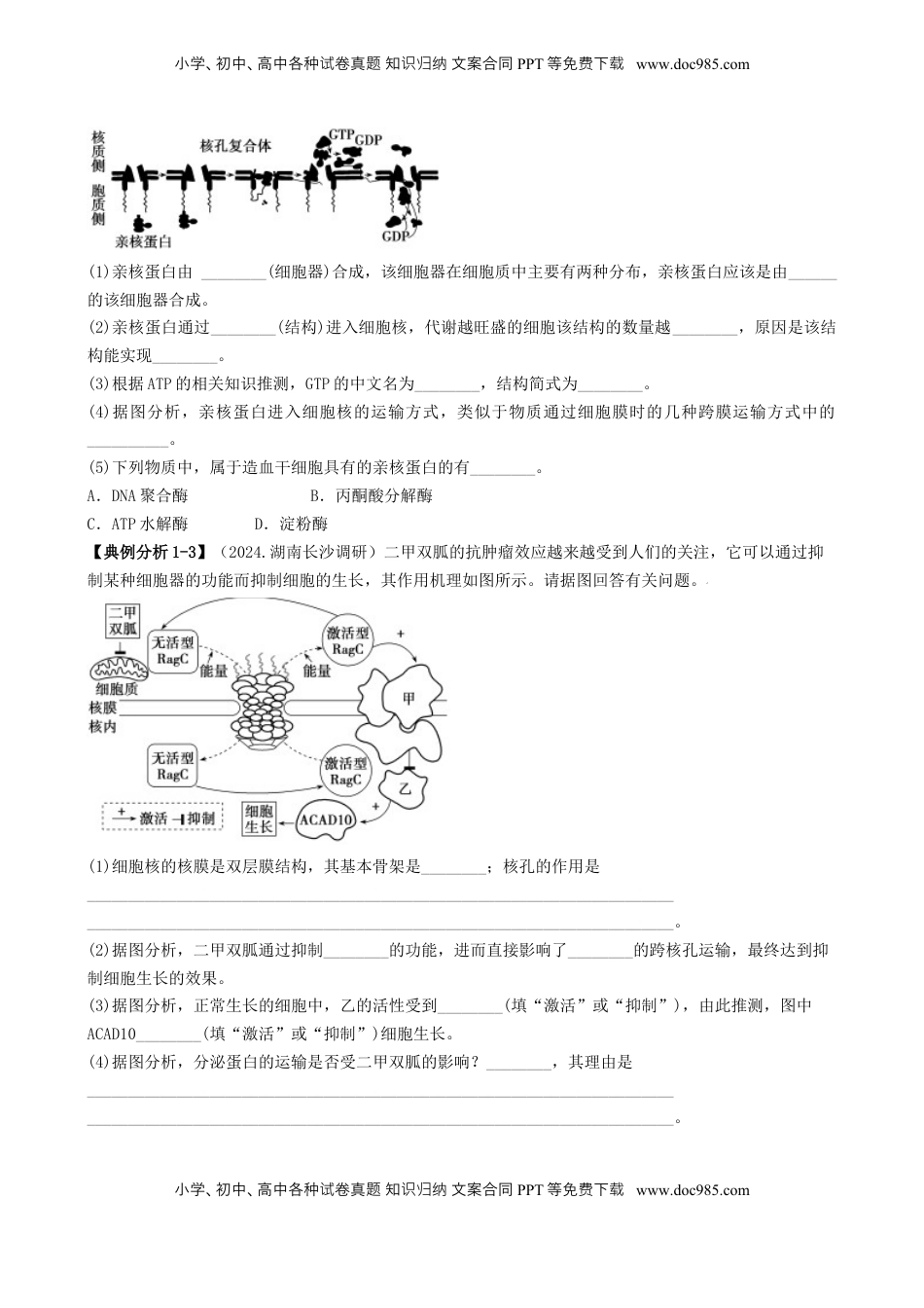 高考生物复习  专题06 细胞代谢（原卷版）.docx