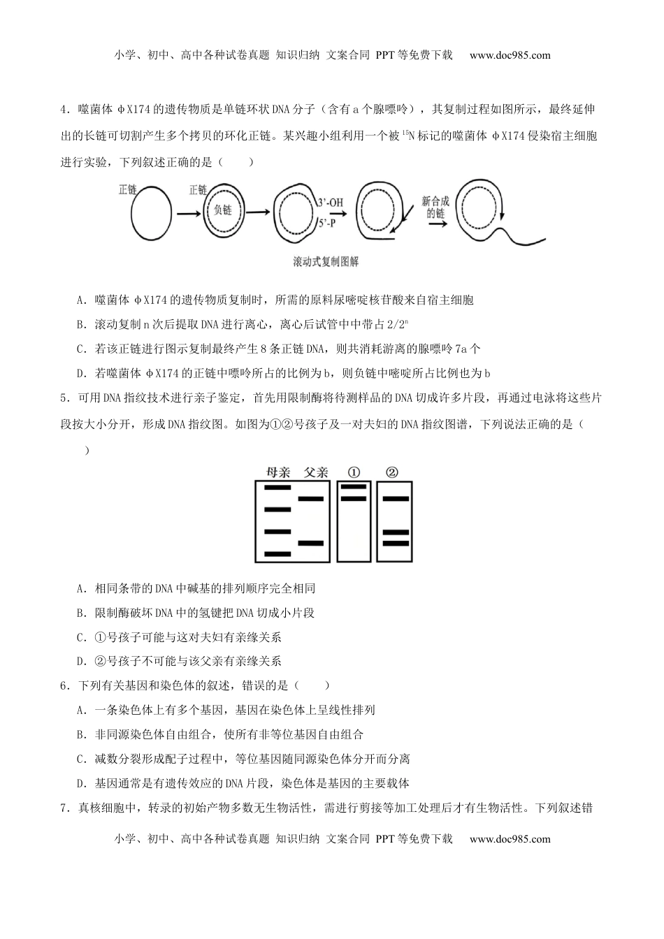高考生物复习  专题五 遗传的分子基础、变异和进化（原卷版）.docx