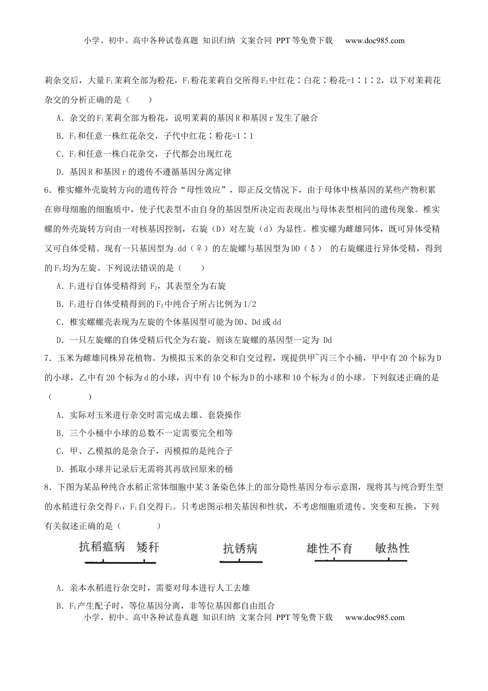 高考生物复习  专题四 遗传的基本规律和人类遗传病（原卷版）.docx