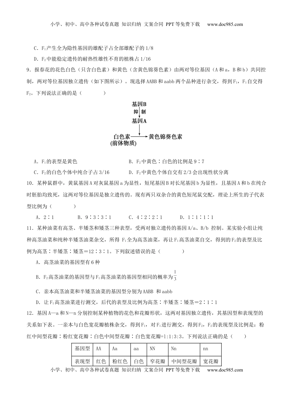 高考生物复习  专题四 遗传的基本规律和人类遗传病（原卷版）.docx