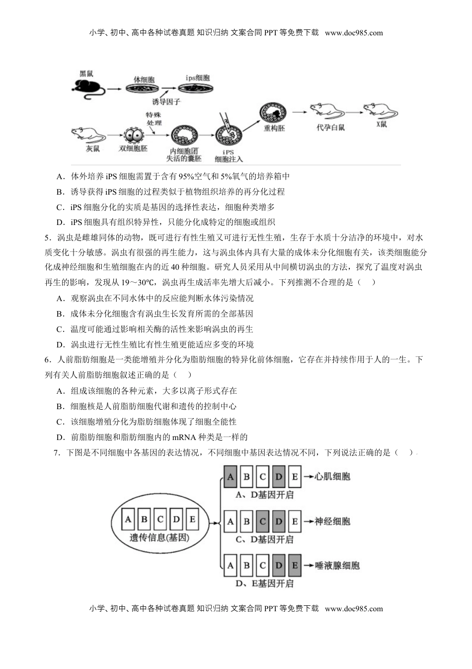 高考生物复习  专题三 细胞的生命历程（原卷版）.docx