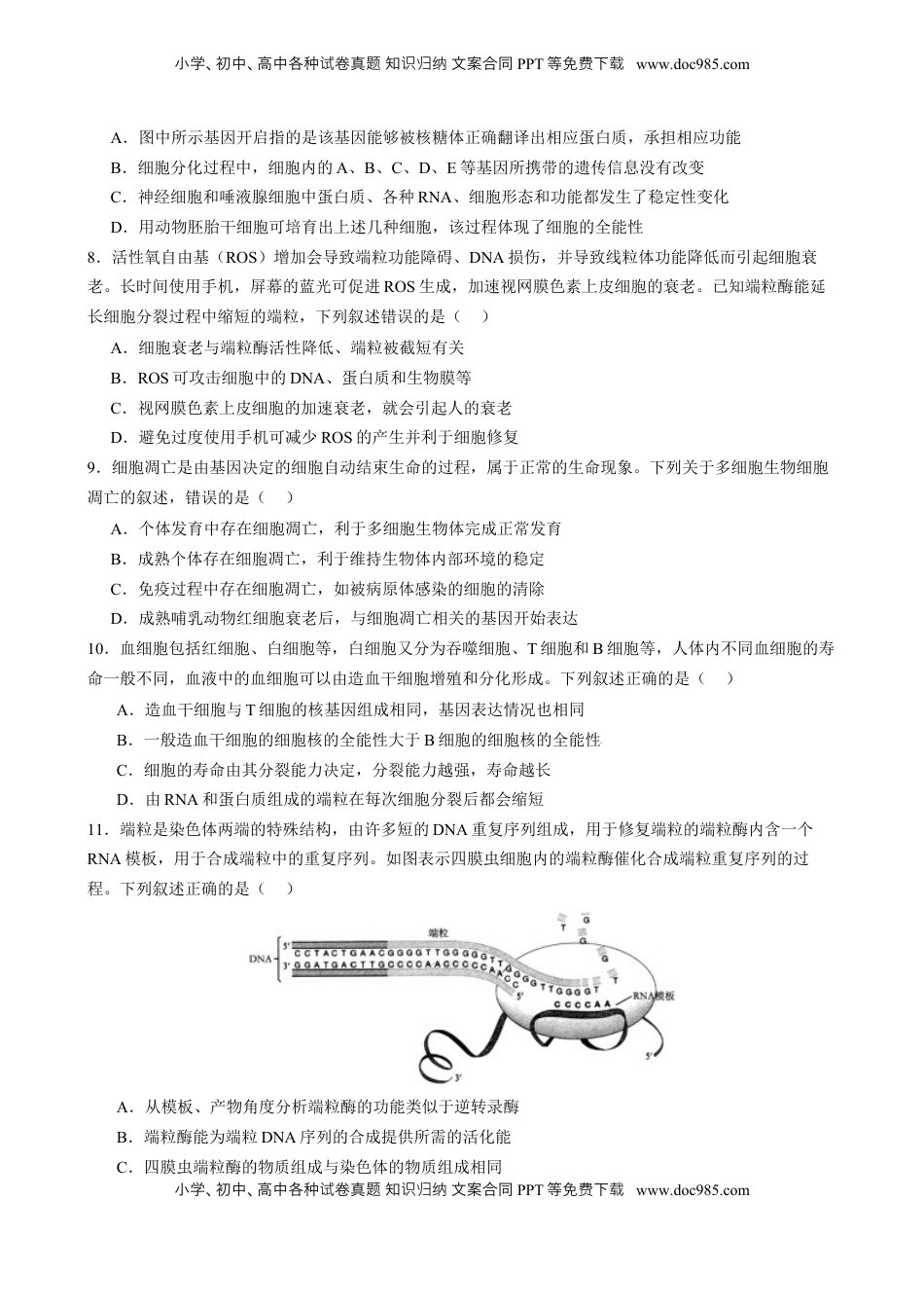 高考生物复习  专题三 细胞的生命历程（原卷版）.docx
