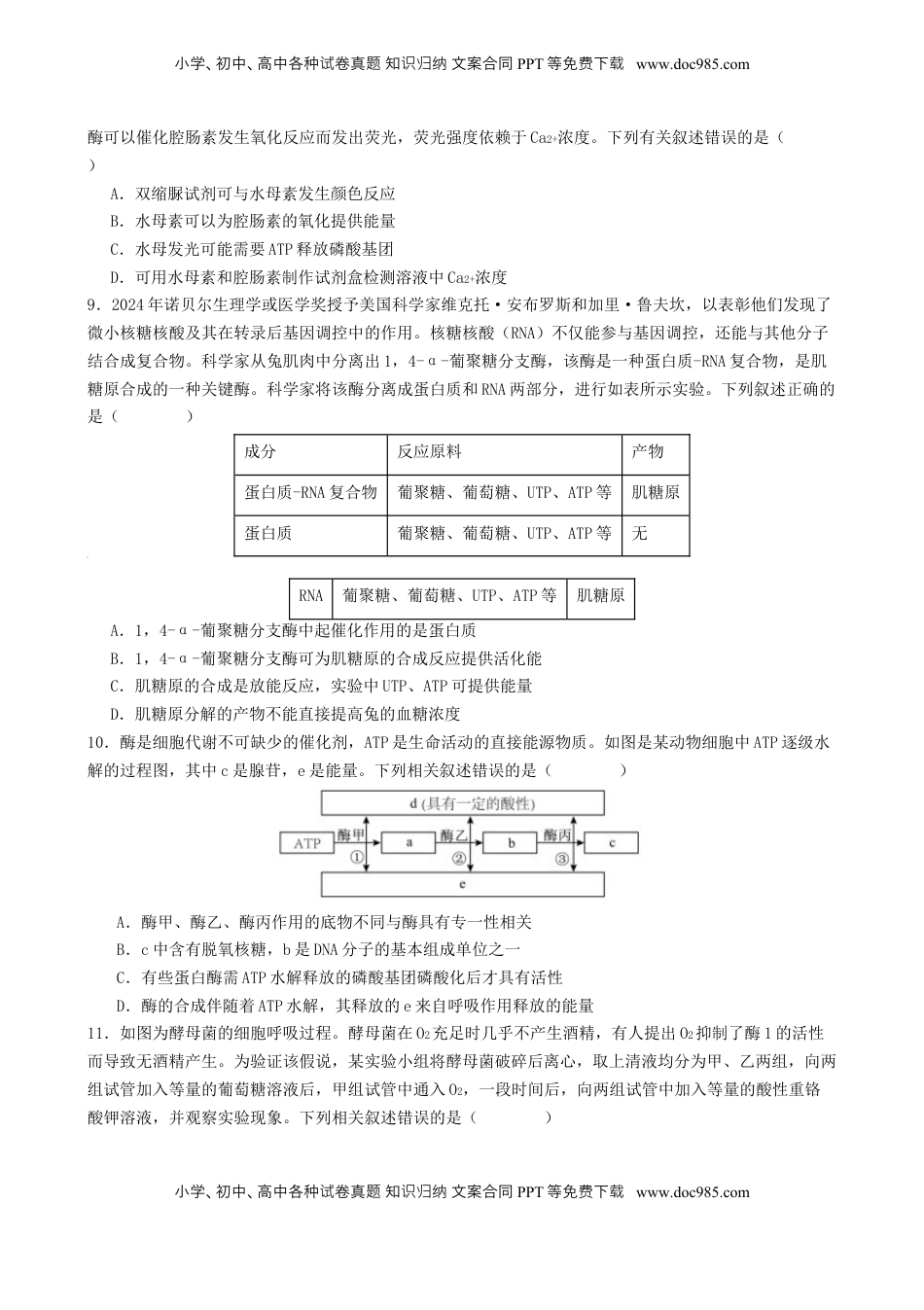 高考生物复习  专题二 细胞的能量供应和利用（原卷版）.docx