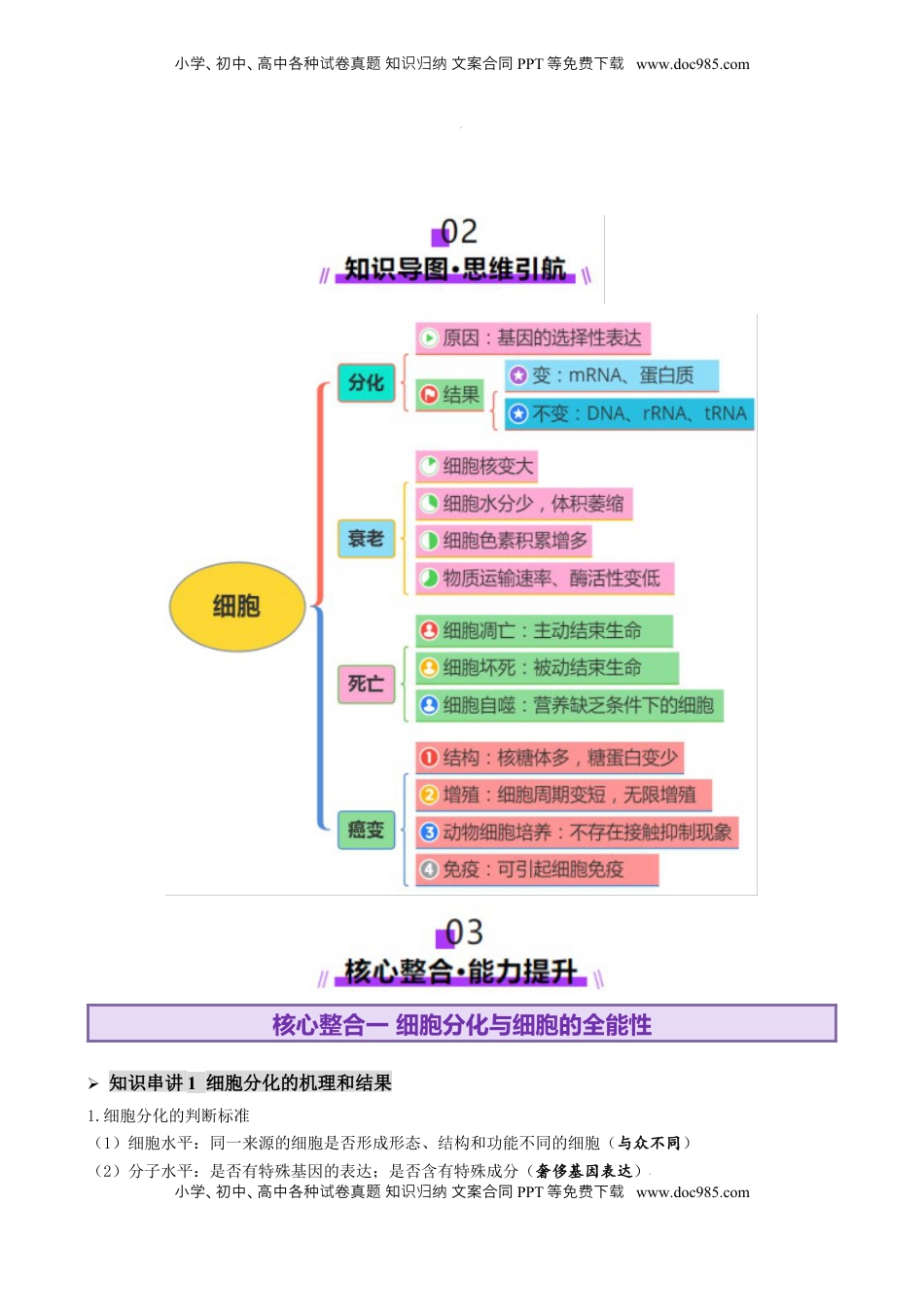 高考生物复习  第06讲 细胞的分化、衰老、死亡和癌变（讲义）（原卷版）.docx