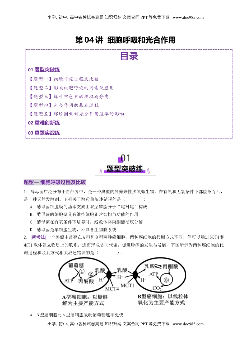 高考生物复习  第04讲 细胞呼吸和光合作用（专项训练）（原卷版）.docx